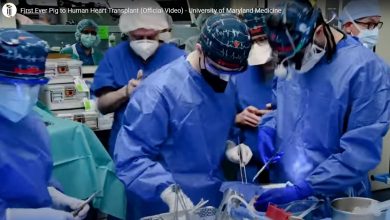Photo of video | Transplant în premieră globală. Un bărbat a primit o inimă de porc: „Aveam de ales fie moartea, fie acest lucru”
