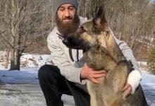 Photo of video | Un câine și-a salvat stăpânul după ce a condus poliția la locul accidentului unde el zăcea rănit şi cu hipotermie