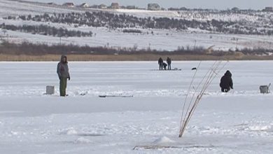 Photo of Aproape de tragedie! Un pescar a fost salvat de la înec din lacul Ghidighici