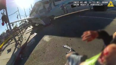 Photo of video | Salvat în ultima clipa! Imagini șocante cu pilotul unui avion prăbușit pe calea ferată, evacuat de polițiști din Los Angeles