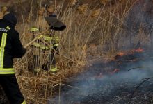 Photo of Incendii de vegetație și zeci de localități lăsate fără electricitate: Efectele vântului puternic