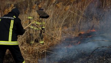 Photo of Incendii de vegetație și zeci de localități lăsate fără electricitate: Efectele vântului puternic