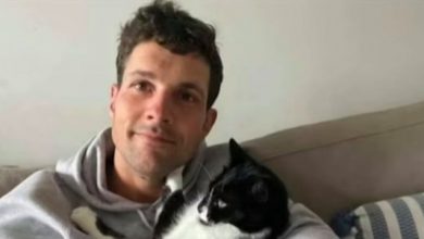 Photo of foto | Cine era bărbatul care a fost mâncat de un rechin alb, lângă o plajă din Sydney
