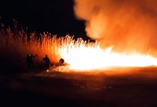 Photo of foto | Incendiu la Rezervația naturală științifică Prutul de Jos. Flăcările au distrus circa 100 ha de stufăriș