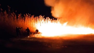 Photo of foto | Incendiu la Rezervația naturală științifică Prutul de Jos. Flăcările au distrus circa 100 ha de stufăriș