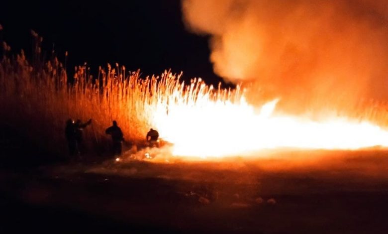 Photo of foto | Incendiu la Rezervația naturală științifică Prutul de Jos. Flăcările au distrus circa 100 ha de stufăriș