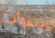 Photo of foto | Mai multe hectare de vegetație, cuprinse de flăcări la marginea sectorului Buiucani. Intervenția pompierilor