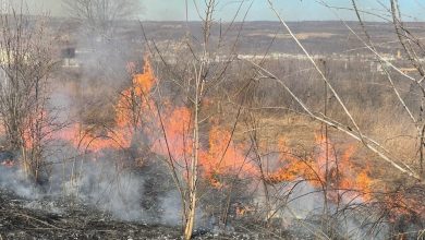 Photo of foto | Mai multe hectare de vegetație, cuprinse de flăcări la marginea sectorului Buiucani. Intervenția pompierilor