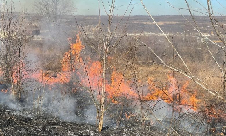 Photo of foto | Mai multe hectare de vegetație, cuprinse de flăcări la marginea sectorului Buiucani. Intervenția pompierilor