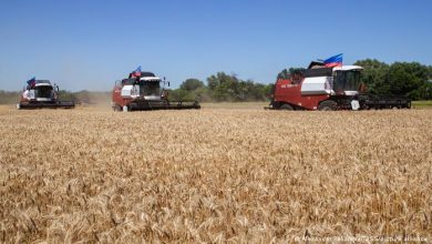 Photo of Turcia, în topul clasamentului. Țările dependente de producția agricolă din Rusia și Ucraina