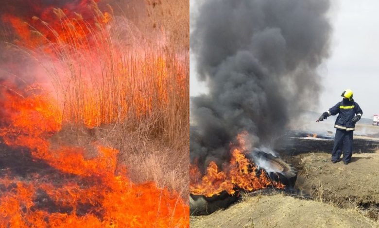 Photo of Incendiu în sectorul Botanica: Focul a distrus mai multe hectare de vegetație uscată