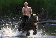 Photo of Putin va fi înlăturat curând de la putere? Aliaţii săi recunosc că războiul e pierdut, iar ofiţerii refuză să execute ordinele pentru atacuri nucleare