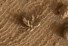 Photo of Surpriză de pe Marte: Roverul Curiosity a găsit o „floare marţiană” mai mică decât o monedă