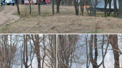 Photo of Chișinău: Un adolescent „glumeț” a stârnit un incendiu de vegetație în parcul Muzeul Satului. Ce riscă părinții