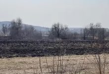 Photo of video | Au vrut să-și gătească la rug, dar au ajuns pe mâna Poliției. Doi bărbați ar fi incendiat o miriște
