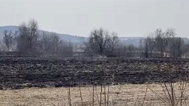 Photo of video | Au vrut să-și gătească la rug, dar au ajuns pe mâna Poliției. Doi bărbați ar fi incendiat o miriște