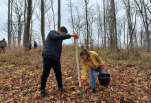 Photo of Ziua Internațională a Pădurilor: Republica Moldova are doar 11% de păduri, dintr-un necesar de 25-30%