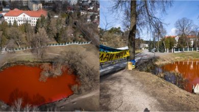 Photo of foto, video | Lacul din fața ambasadei Rusiei din Vilnius, vopsit în roșu. O campioană la înot a străbătut apa de culoarea sângelui