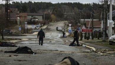 Photo of Cum a prezentat presă rusă masacrul de la Bucea: De la „imagini fake” la „crime ale naziștilor”
