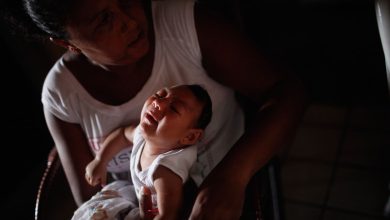 Photo of Cercetătorii avertizează despre riscului unui nou focar de virus Zika. Cât de periculoasă poate deveni o singură mutație