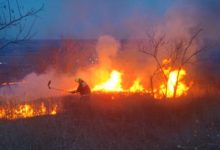Photo of video | Incendiu de proporții în apropiere de Leușeni: Au fost distruse circa 100 de hectare