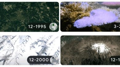 Photo of foto | Ziua Pământului 2022: Realitatea crudă a schimbărilor climatice prezentată de Google