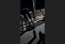Photo of update, video | Tinerii care au decis că parcul „Alunelul” nu este bine amenajat, identificați de Poliție