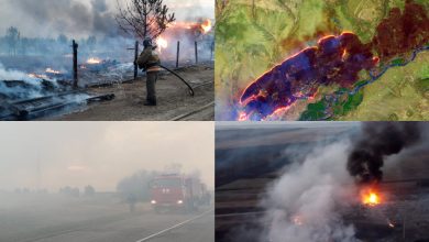 Photo of foto, video | Stare de urgență în Siberia. Flăcările mistuie sudul regiunii