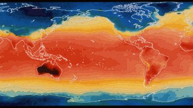 Photo of Un nou avertisment privind schimbările climatice: Oceanele lumii au atins în 2021 cele mai călduroase şi mai acide niveluri