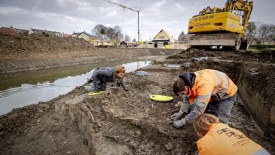 Photo of Olanda: A fost descoperită o groapă comună cu scheletele a zeci de soldați britanici uciși de o bacterie în urmă cu peste 200 de ani