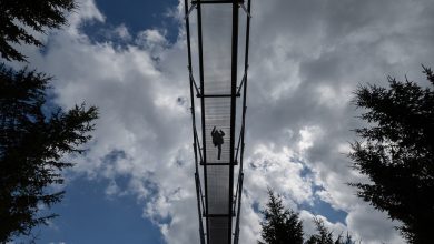 Photo of foto | „Este o privelişte minunată”. Unde a fost inaugurat cel mai lung pod pietonal suspendat din lume