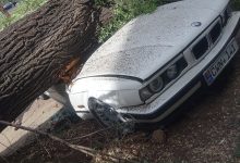 Photo of foto | Încă un copac prăbușit a făcut pagube în Chișinău: A distrus o mașină și a tras cabluri după el