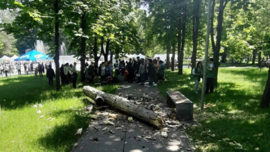 Photo of Tragedia din Parcul Alunelul: Ceban suspendă conducerea de la „Spații Verzi” și vrea front comun cu Agenția Mediului