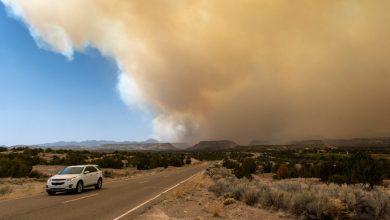 Photo of video | Mega-incendiul din New Mexico nu poate fi controlat și se extinde rapid. Ce spun pompierii
