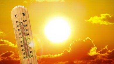 Photo of Valul de caniculă face ravagii în Spania și Franța. Temperaturile au atins un record, de aproape 40 de grade