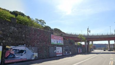 Photo of Caz bizar în Italia: Un bărbat care zăcea mort de cinci ani în niște tufișuri avea în buzunare 9000 de euro