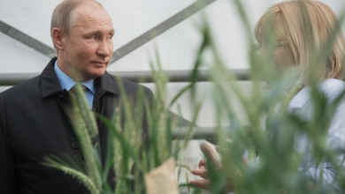 Photo of Miliardar rus: Putin se pregătește de un lung război de uzură și crede că Occidentul va obosi, iar el va câștiga