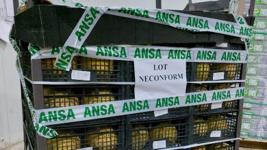 Photo of Atenție, consumatori. ANSA anunță despre retragerea unui lot neconform de pepene galben din import