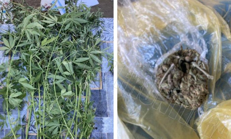 Photo of Arme și droguri în valoare de 200.000 lei, depistate pe mai multe adrese dintr-o localitate din zona de frontieră