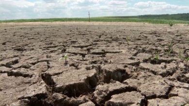 Photo of Secetă pedologică în România. În multe localități apa se dă cu porția