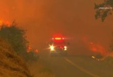 Photo of Căldura provoacă incendii devastatoare în toată lumea. În SUA, fumul a urcat până deasupra norilor
