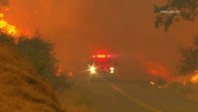 Photo of Căldura provoacă incendii devastatoare în toată lumea. În SUA, fumul a urcat până deasupra norilor