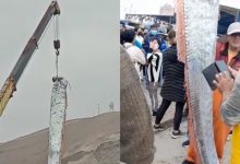 Photo of foto | Pescarii din Chile au prins un pește de 5 metri lungime. Au ridicat prada cu macaraua