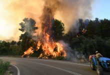 Photo of foto | Incendiile din Grecia, alimentate de valul de căldură și de vântul puternic: O luptă dificilă pentru a salva ecosistemul