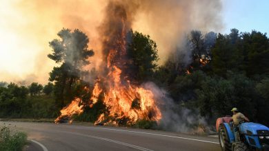 Photo of foto | Incendiile din Grecia, alimentate de valul de căldură și de vântul puternic: O luptă dificilă pentru a salva ecosistemul