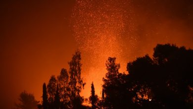 Photo of Un amplu incendiu de vegetaţie a scăpat de sub control în nordul Atenei. Un oraş a fost evacuat
