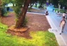 Photo of video | Un bărbat a murit la Moscova, după ce un copac a căzut peste el, pe Bulevardul Ucrainei