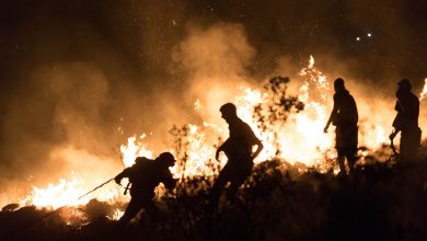 Photo of „Sinucidere colectivă”. Avertismentul șefului ONU, în contextul incendiilor și a valului de căldură din Europa