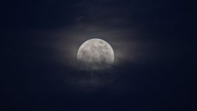 Photo of foto | Cum s-a văzut Superluna tunetului, cea mai mare lună plină din 2022