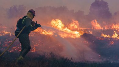 Photo of O femeie a murit carbonizată pe câmp în unul dintre incendiile devastatoare din România